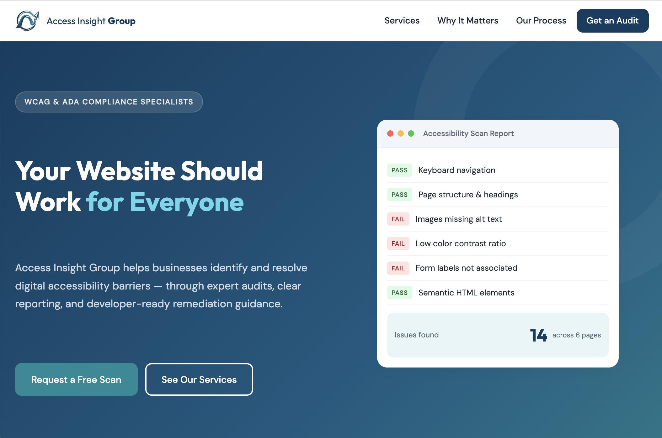 Access Insight Group homepage screenshot